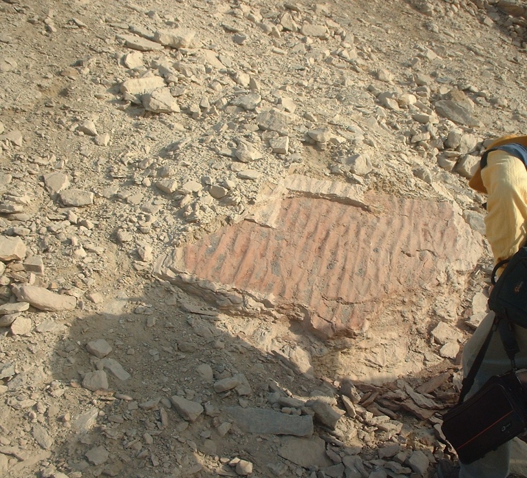 2005 view of ripple marks in sandstone of Wadi Abu Sufian