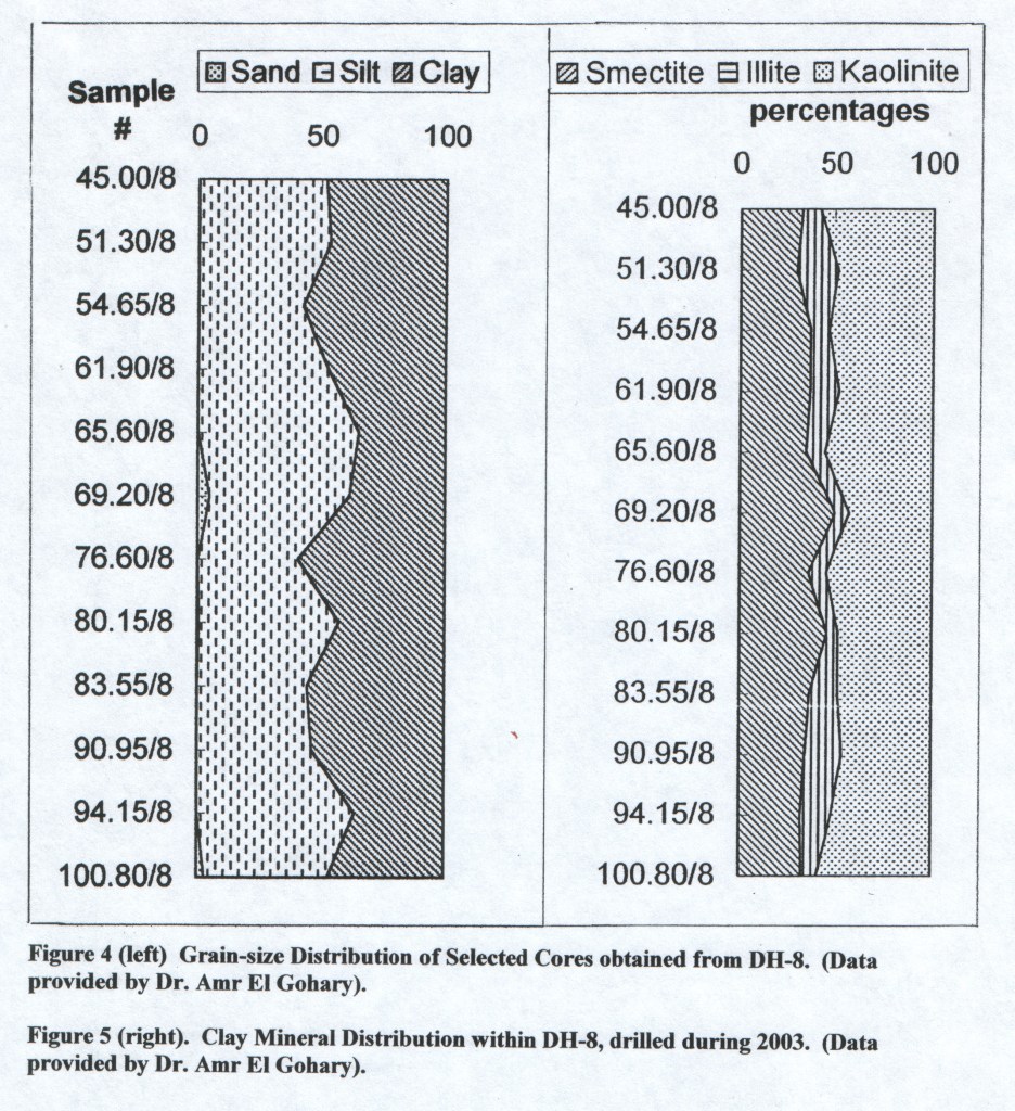 Analysis of sediments in cores from deep wells by Dr. Amr El Gohary, 2003.